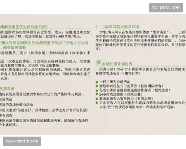 全面掌握澳洲杯赛事入门技巧的新手友好实战进阶指南全面提要