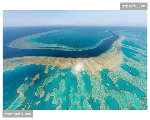 围绕澳洲杯赛事水平全景探讨五大关键要素的深度分析视角全面研究